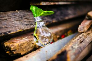 10 smart steps How to Save Energy in Your Home